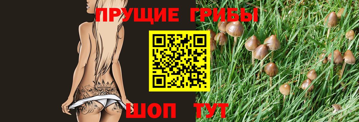 Галлюциногенные грибы Magic Shrooms Глазов
