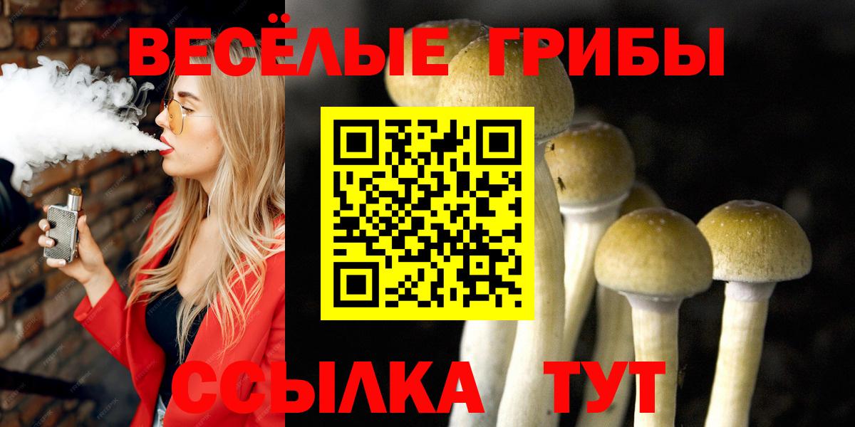Псилоцибиновые грибы прущие грибы  Псилоцибиновые грибы Psilocybe  Вход с VPN  Глазов 